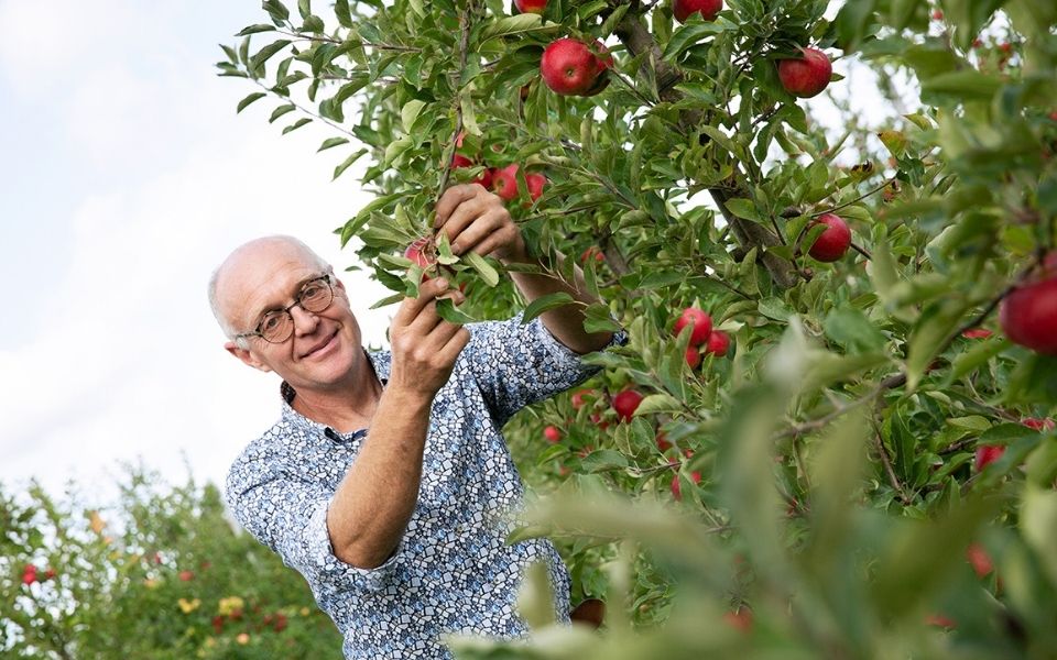 Afbeelding van verhaal ‘Tijdelijke medewerkers moeten het naar de zin hebben.’