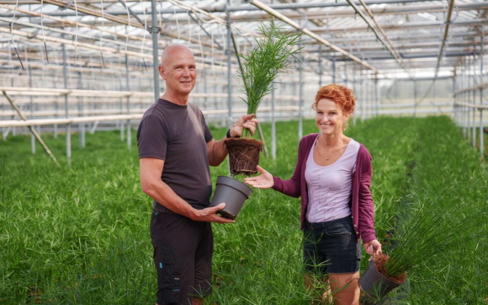 Afbeelding van verhaal Bijzonder groen en plantgeheimen bij Neervenplant