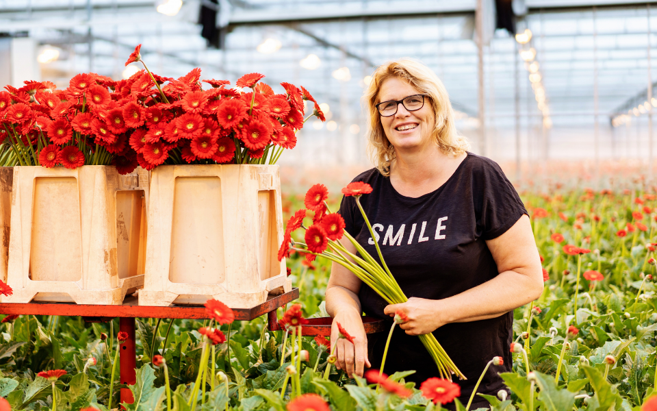 Afbeelding van verhaal Parttimer Meriam gelukkig tussen de gerbera’s