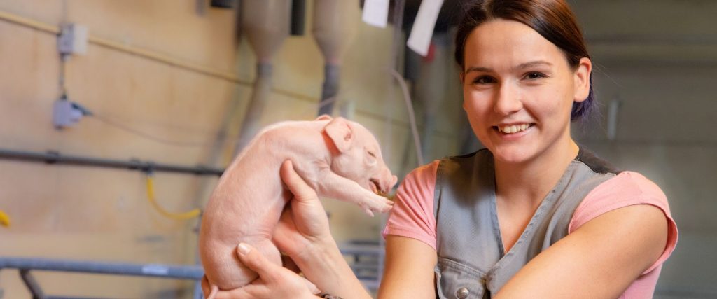 Afbeelding van verhaal Ik wilde niets liever dan met dieren werken