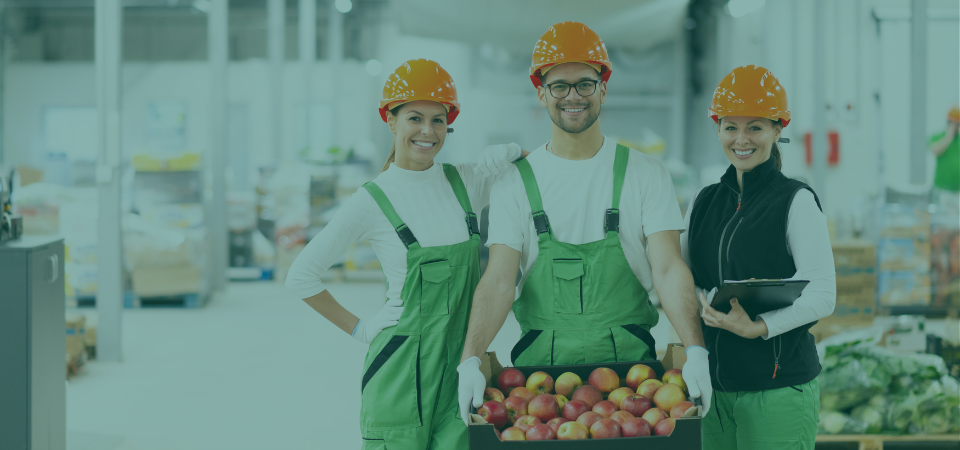 Afbeelding van verhaal Van flex naar vast: zekerheid én flexibiliteit in balans