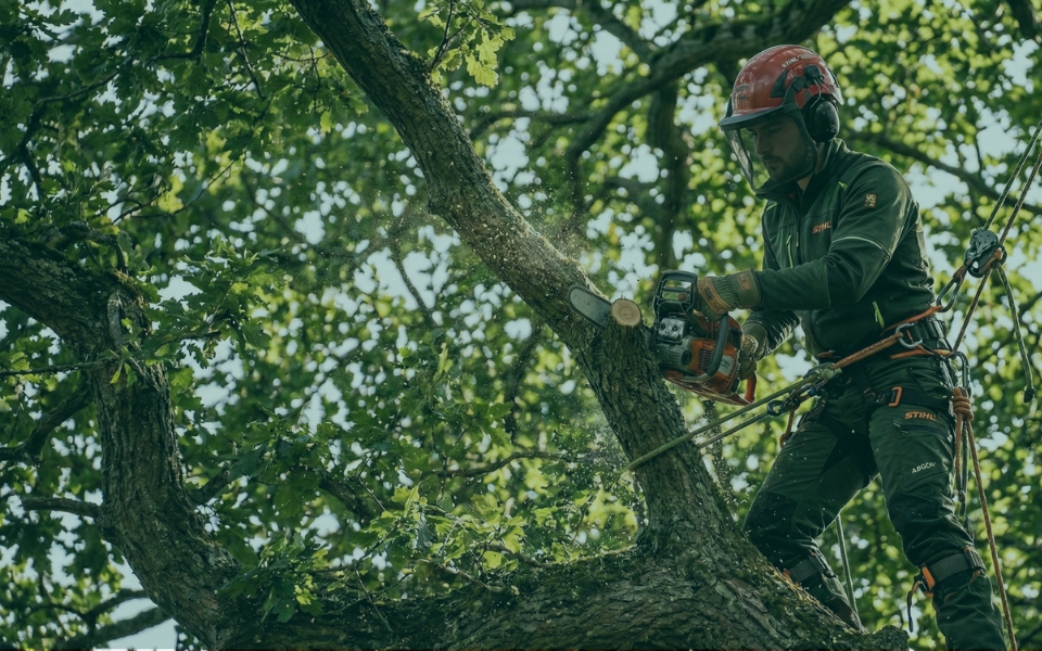 Afbeelding van verhaal Werken in het groen – de keuze is reuze