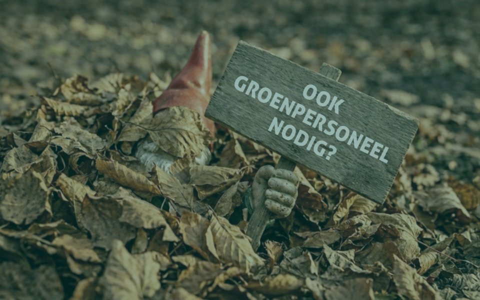 Afbeelding van verhaal Ook een punthoofd van personeelstekort? AB Werkt helpt je aan de juiste mensen